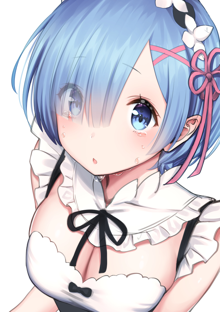 Simply Rem [Re:Zero]