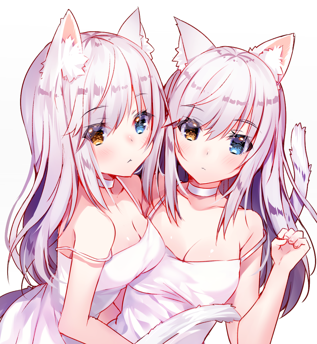 Catgirls Original Rawwnime 