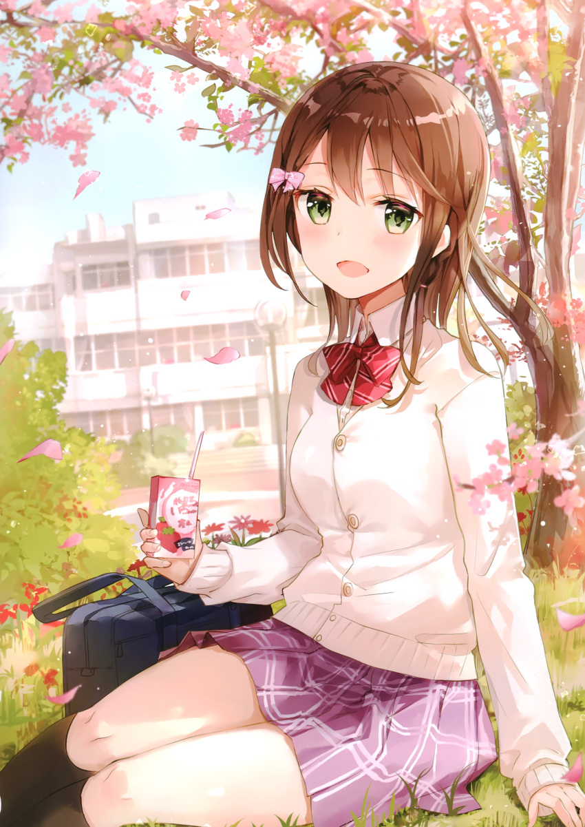 Cherry blossom picnic [Original]