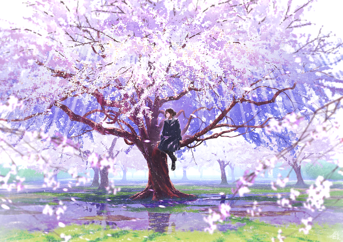 Aggregate 83+ anime cherry blossom aesthetic latest - ceg.edu.vn