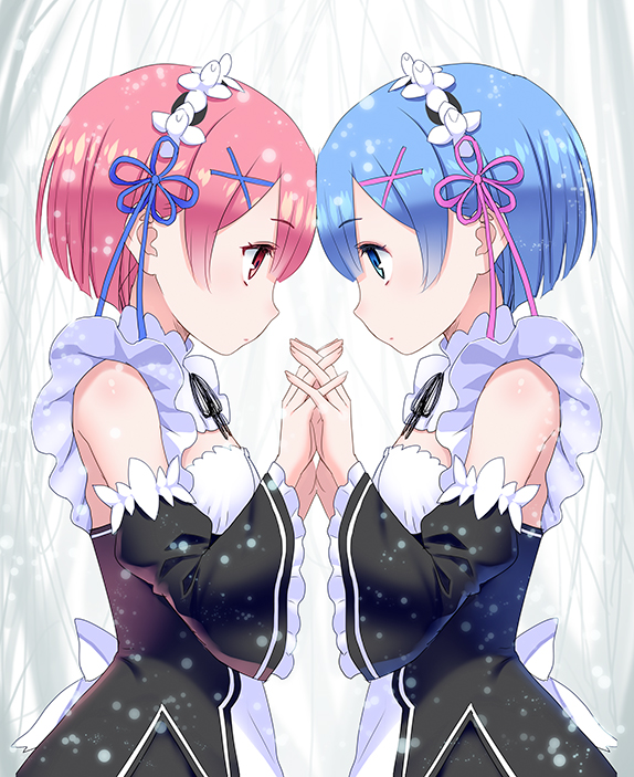 Rem & Ram [ReZero] r/awwnime