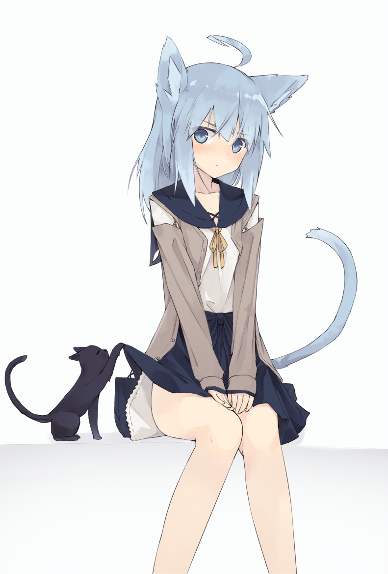 Cat & Skirt [Original] : r/kemonomimi